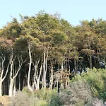Poststrasse Nr 2